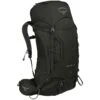 Osprey Kestrel 48 Backpack - M/L - Picholine Green