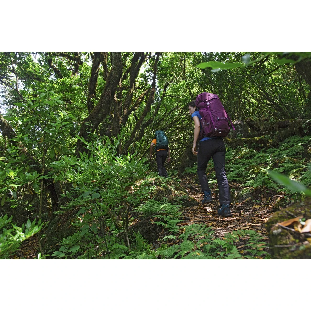 Osprey Renn 65 - Women's Backpack - Cinder Grey 14 Osprey Renn 65 - Women's Backpack - Cinder Grey - Image 12