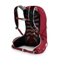 Osprey Talon 11 Backpack - Cosmic Red -Backpack Shop b24 6699 10002715 2 1034383