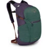 Daylite Plus -Backpack Shop dayltpluss21 f22 side axogreenenchantmentpurple 2