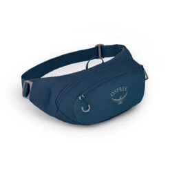 Daylite Waist Pack -Backpack Shop dayltwsts21 s21 side waveblue