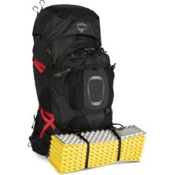 Osprey Aether Plus 100 Backpack - Axo Green - L/XL -Backpack Shop osprey aether plus 100 axo green 10 1118016 1