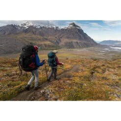 Osprey Aether Plus 100 Backpack - Axo Green - S/M -Backpack Shop osprey aether plus 100 axo green 2 1118008