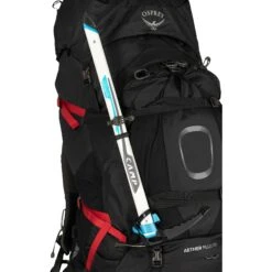 Osprey Aether Plus 100 Backpack - Axo Green - S/M -Backpack Shop osprey aether plus 100 axo green 5 1118011