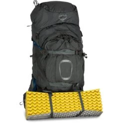 Osprey Aether Plus 60 Backpack - Axo Green - S/M -Backpack Shop osprey aether plus 60 9 1249978 1