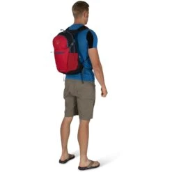 Osprey Daylite Plus Backpack - Dream Purple -Backpack Shop osprey daylite 70 1256279