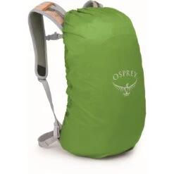 Osprey Hikelite 18 Backpack - Pine Leaf Green -Backpack Shop osprey hikelite 18 33 1391082