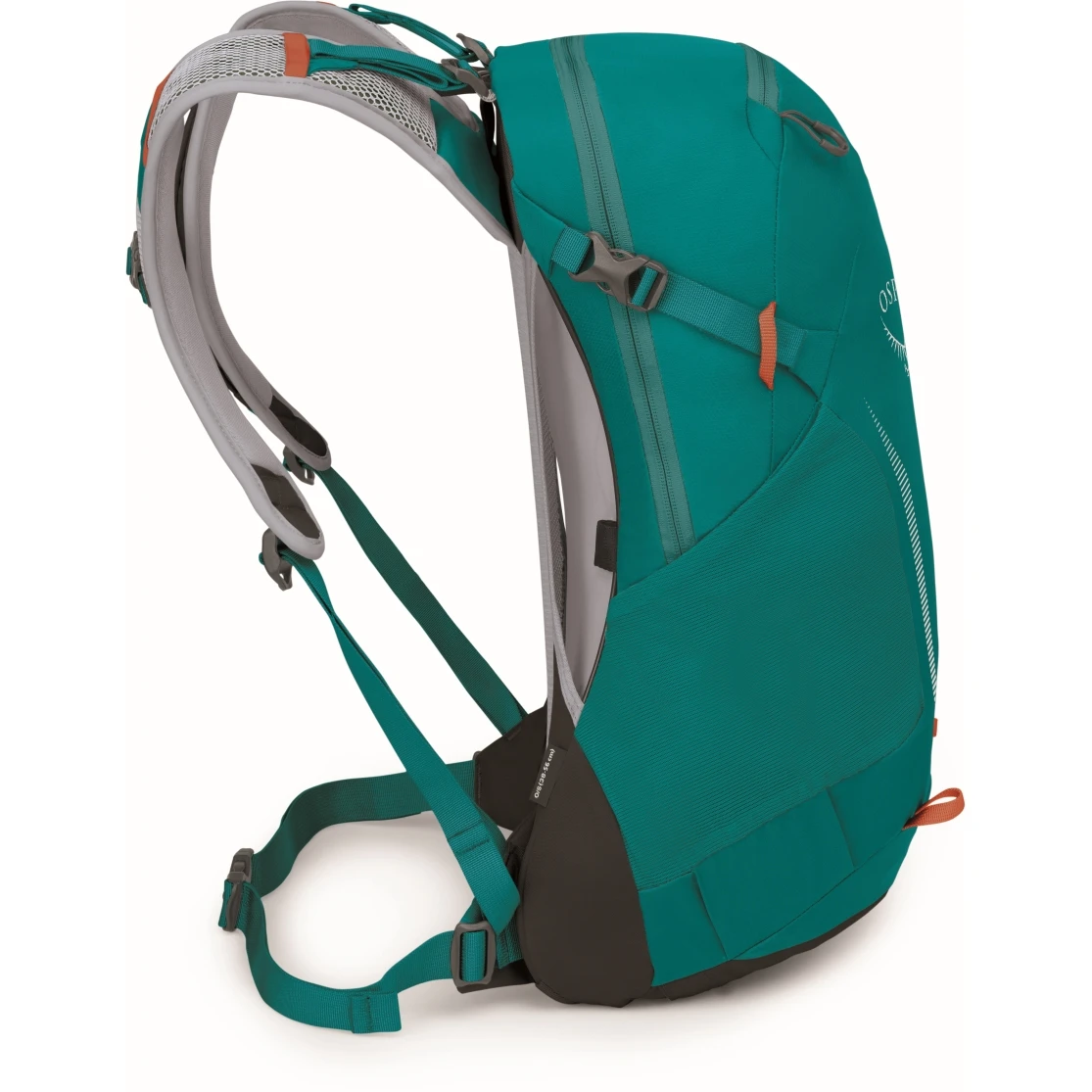 Osprey Hikelite 18 Backpack - Escapade Green 5 Osprey Hikelite 18 Backpack - Escapade Green - Image 3
