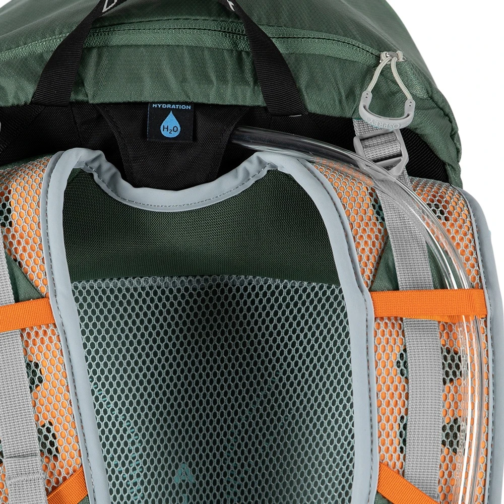 Osprey Hikelite 26 Backpack - Pine Leaf Green 10 Osprey Hikelite 26 Backpack - Pine Leaf Green - Image 8