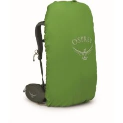 Osprey Kestrel 38 Backpack - Bonsai Green - L/XL -Backpack Shop osprey kestrel 38 17 1391535 1