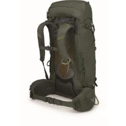 Osprey Kestrel 38 Backpack - Bonsai Green - S/M -Backpack Shop osprey kestrel 38 20 1391536