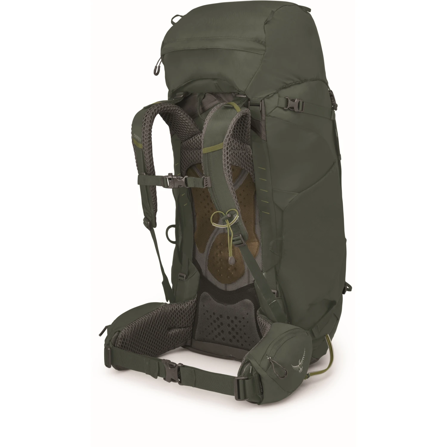 Osprey Kestrel 68 Backpack - Bonsai Green - L/XL 5 Osprey Kestrel 68 Backpack - Bonsai Green - L/XL - Image 3