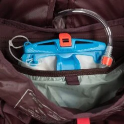 Osprey Kyte 58 Women's Backpack - Elderberry Purple - M/L -Backpack Shop osprey kyte 58 4 1391945 3