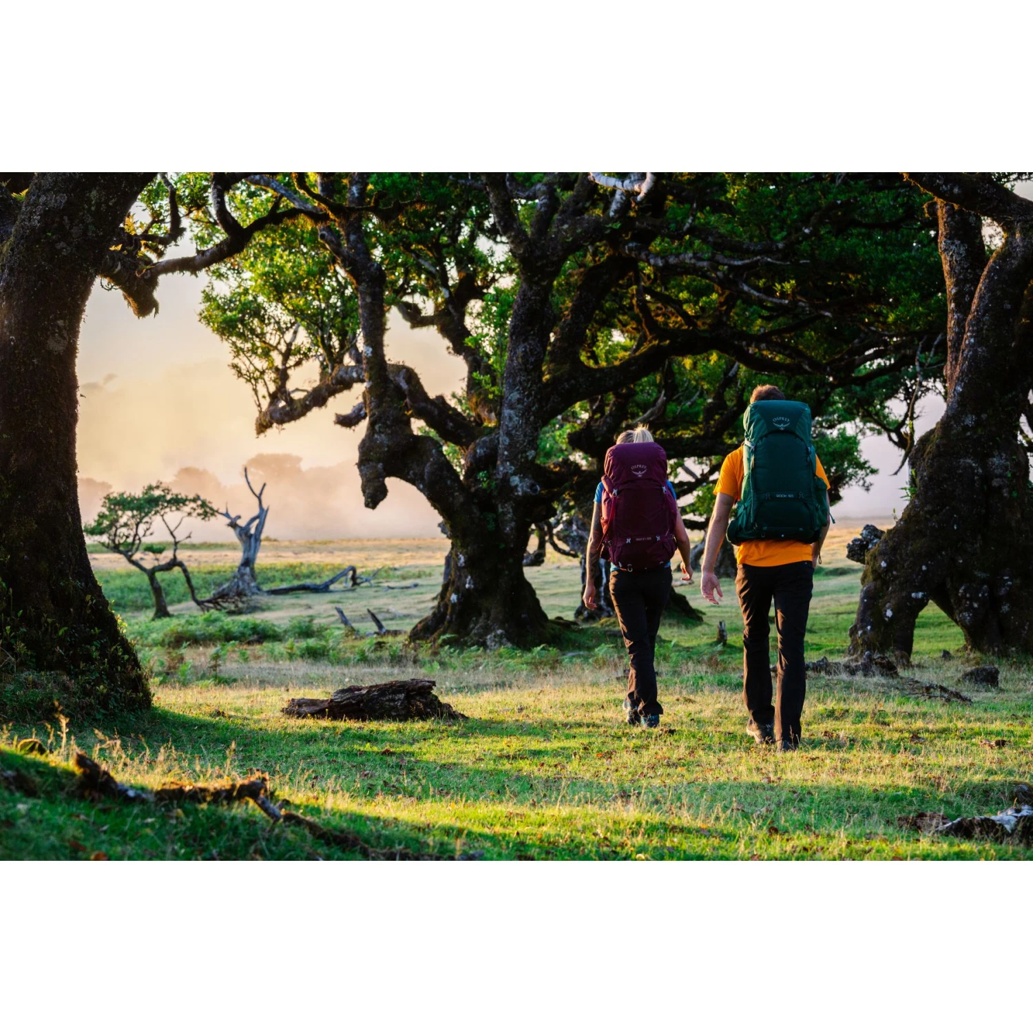 Osprey Rook 65 Backpack - Mallard Green 13 Osprey Rook 65 Backpack - Mallard Green - Image 11