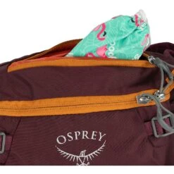 Osprey Savu 5 Waist Pack - Postal Blue -Backpack Shop osprey savu 5 7 1392330