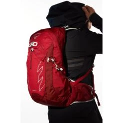 Osprey Talon 22 Backpack - Limon Green - L/XL -Backpack Shop osprey talon 22 backpack cosmic red 13 986210