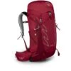 Osprey Talon 33 Backpack - Cosmic Red - S/M -Backpack Shop osprey talon 33 backpack cosmic red 1 986089